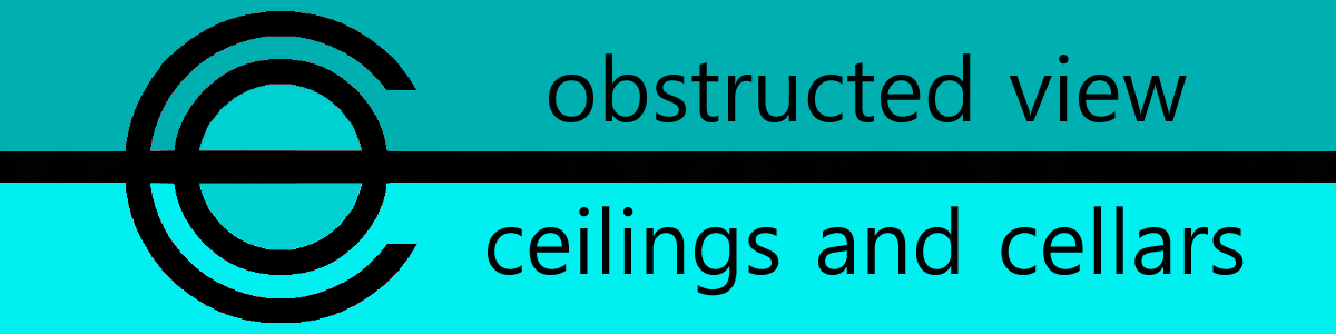 Obstructed View: Ceilings and Cellars (Windows and Doors)