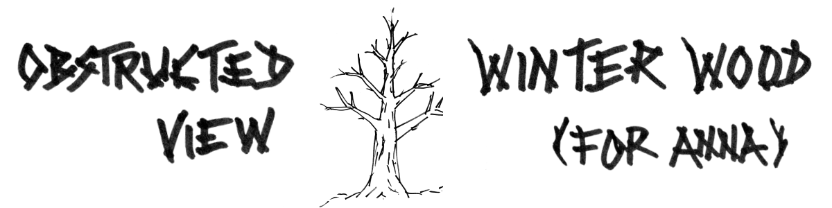 Obstructed View: Winter Wood (for Anna)